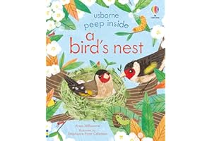 Peep Inside a Bird's Nest