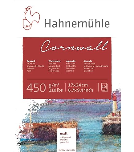 Hahnemuhle Sumi-e 80gsm Paper - 30 X 40cm 11.8" X 15.7" 4011367283711