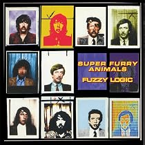 Fuzzy Logic: Amazon.co.uk: CDs & Vinyl