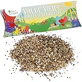 Wilde Weide: 100g Premium Wildblumensamen Mischung mehrjährig und einjährig - Insektenfreundliche Blumenwiese Samen für Biene