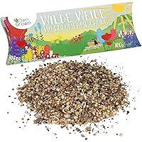 Wilde Weide: 100g Premium Wildblumensamen Mischung mehrjährig und einjährig - Insektenfreundliche Blumenwiese Samen für…