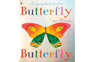 WALKER BOOKS LTD Butterfly, Butterfly