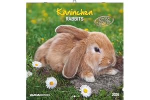 Kaninchen 2026 - Broschürenkalender 30x30 cm (30x60 geöffnet) - Kalender mit Platz für Notizen - Rabbits - Bildkalender - Wandplaner - Wandkalender: Rabbits