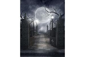 Halloween Fotografie Hintergrund, 1,5 * 2m Ci-Fotto Fotografie Hintergrund Halloween Party Dekoration Hintergrund Tür, Fotostudio Hintergründe Geeignete Fotografie für Kinder