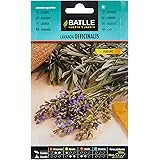 Battle - Semi Aromatici Lavanda Officinalis (Semi - 40Cm)