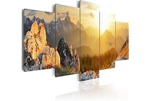 B&D XXL murando - Bilder Landschaft Gebirge 200x100 cm Vlies Leinwandbild 5 tlg Kunstdruck modern Wandbilder XXL Wanddekoration Design Wand Bild - Natur Berge c-B-0056-b-m