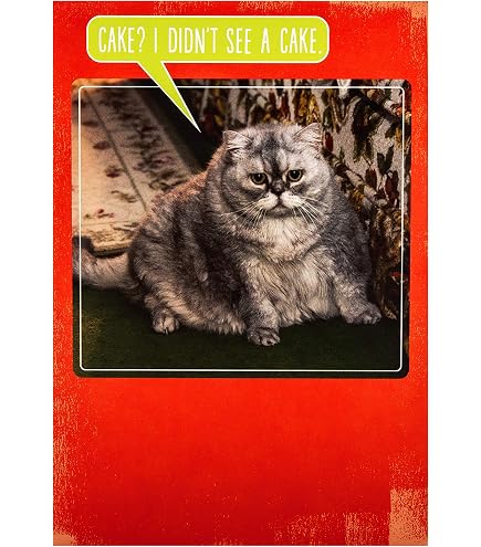 Funny Cat Birthday Card - "Purr-fect Birthday" Design, Eco-Friendly, 172x126mm, Made In UK