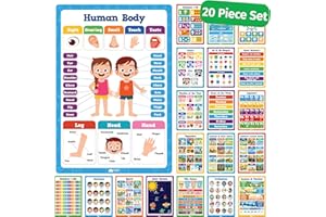 MOMO & NASHI 20 Klassenzimmer-Poster für Vorschulkinder, Kleinkinder, Kindergarten, Grundschule, 40,6 x 27,9 cm, 20 Stück – Lernposter für die Wand