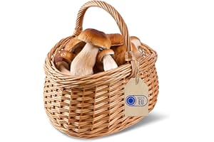 Creative Home Cestino in Vimini con Manico, Cesta Marrone Naturale | Cesto Funghi Picnic | 43 x 33 x 40 cm | Tessuto Fatto a Mano Durevole | Salice Naturale Marrone Spesso | Multiuso