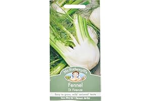 Mr Fothergills Seeds Ltd 10025 Vegetable Seeds, Fennel Di Firenze, White