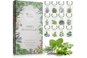 Kit de graines d‘Herbes aromatiques prêt à Pousser OwnGrown, 12 épices et aromates à Planter en Un kit Pratique, Naturelles pour Culture intérieure et extérieure