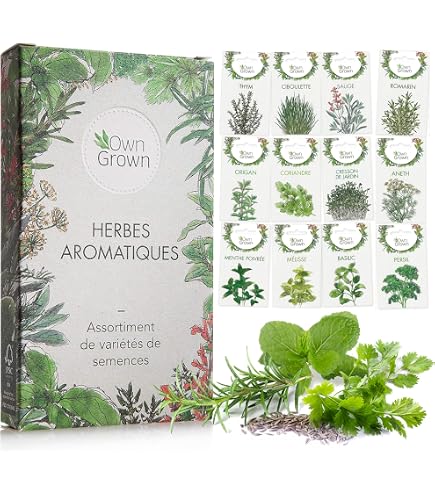 Lot 900 Semi Di Piante Aromatiche - Le Grenier D'Abondance - Le Officinali - 10 Bustine Individuali Per Orto E Giardino - 3