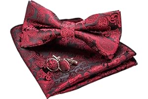 JEMYGINS Papillon Uomo Paisley Design Regolabile in Diversi Colori con Fazzoletto e Gemelli