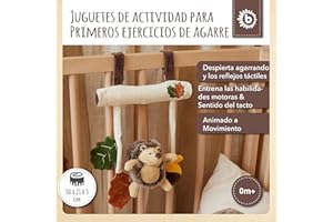 BIECO | Juegos de carros | Sillita Bebe Juguetes | Arco Actividades Bebe | Arco de Juegos Bebe | Arco Juegos Bebe | cochecitos Juguetes niños | Coches de bebés | Colgador Carro Bebe | Arco Bebe