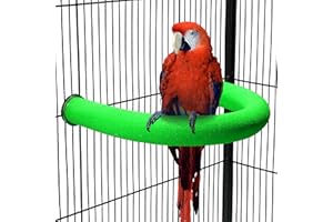 TeTupGa U Shape Parrot Perch Stand Pet Toy Bird Platform Sand Paw Grinding Clean Stick Cage Exercise Conure Budgie Cockatiel Accessories (Green Large)