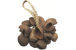 TOCA Seed Shell Shaker T-SS, Brown