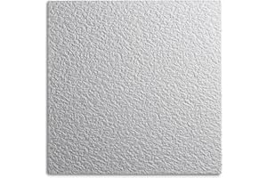 Decosa – Placa de Techo Gent, color blanco, 50 x 50 cm – Descuento 10 Pack (= 20 M²)