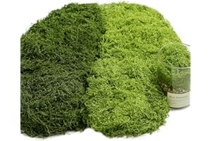 NATURAS BOUQUTIS 200g Kunstmoos zum Basteln, Künstliches Moos zum Dekorieren, Fake Moos Deko Aesthetic Deko Ostern für Wand Krippe Aquarium Modellbau (100g Dunkelgrün + 100g Hellgrün)