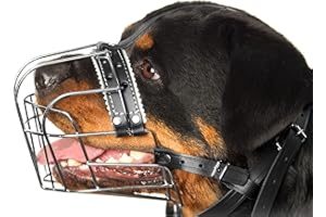 PETRISTOR Bozales de Metal para Perro Rottweiler (№1) - Cesta de Alambre Correas de Cuero Ajustables de Cuero - La Circunferencia del hocico es de 25-35,8 cm de Longitud es de 6,8-8,9 cm
