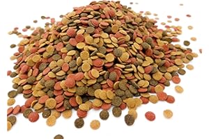 HERONS - Mini Wafer Mix - 5 mm Sinking Wafers with Spirulina - For All Bottom Feeding Fish - Rich in Vitamin C and Fiber - Immune Support - Enhance Colour and Improves Digestion - 100 Grams