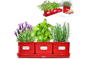 Green Thumbz Jardinière Herbes Aromatiques avec Poignée en Cuir - Idéal pour Basilic en Pot Herbes Aromatiques à Planter - avec Bac de Récupération et Trou de Drainage (Rouge)