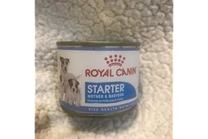 Royal Canin Starter Mousse - 6 Confezioni x 195 g