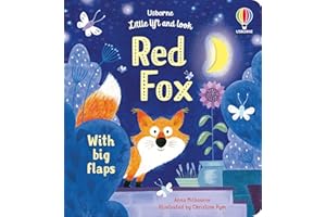 Little Lift and Look Red Fox