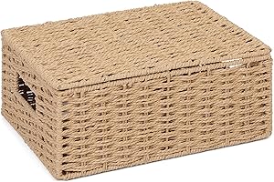 Arpan Natural Paper Rope Storage Basket Box With Lid (Medium)