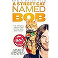 A Street Cat Named Bob: How one man and his cat found hope on the streets
