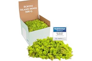 MIA MILANO Islandmoos hellgrün konserviert I Moos Deko zum Basteln I 500g Echtes Dekomoos Isländisch für Moosbild und Mooswand lebend
