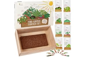 Saatgut Anzuchtset mit Holzkiste und 8 Sorten Pflanzen Samen: Kinder Anzuchtset Pflanzen mit Gemüse, Erdbeeren und Kräuter Samen – Mini Gewächshaus und Mini Garten Starter Kit von OwnGrown