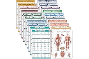 PALACE LEARNING Juego de 20 pósteres de ejercicio: mancuernas, suspensión, cuerda de batalla, estiramiento, peso corporal, barra, yoga, pelota de ejercicio, muscular, pesas rusas, bandas de resistencia y más