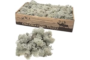 FLOWERBOX Cartone islandese muschio grigio 500 g