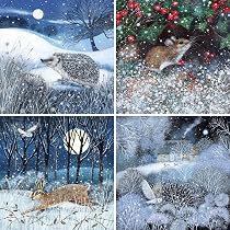 Pack of 12 Season's Greetings Cards & Envelopes. 3 Designs. Full