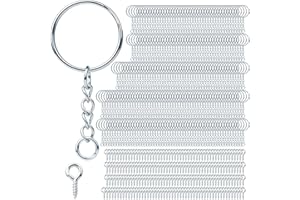 DKBT Llavero con cadena, 510 unidades, juego de manualidades (255 llaveros, anillos, cadena + 255 pernos de rosca), 25 mm para llaves, bolsos, fabricación de joyas (plata)