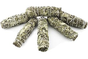 Nosy Nomad White Sage Smudge Stick (Salvia apiana) | Small Incense Sticks Set of 6 - Sage Smudge Stick Gift Set, Spiritual Gifts & Supplies, New Home Gift, Native American Gifts, Ideal For Meditation