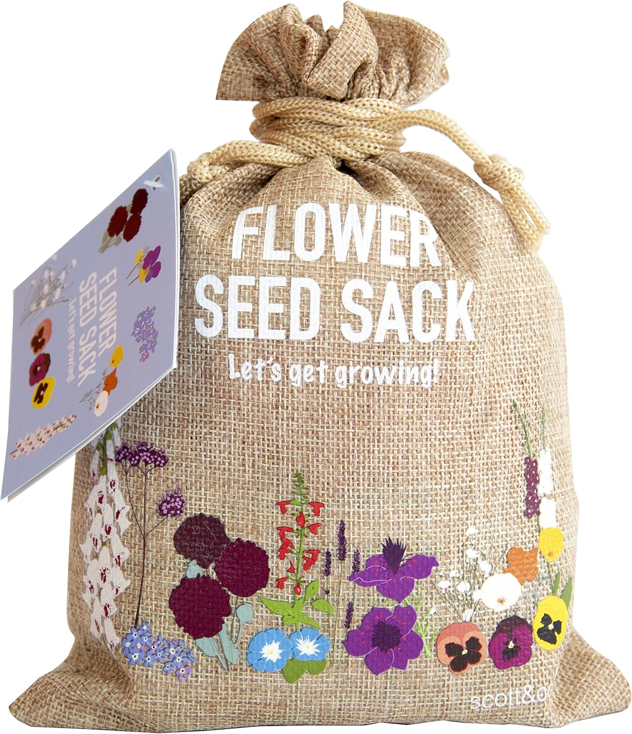 Scott&Co. Flower Seed Variety Pack - 30 Different Varieties of Flower Seeds to Grow Your Own. Butterfly and Bee Attracting, Grow Indoor and Outdoor. Gardening Gifts for Women and Men.