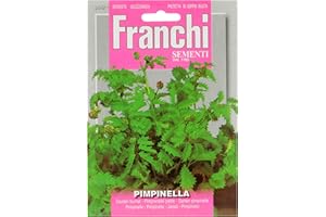 柴田園芸刃物 SEMENTI IN BUSTINA DI PIANTE OFFICINALI E AROMATICHE (PIMPINELLA)