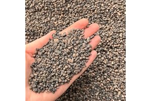 BHOMESCENT Leca Horticultural Grit, Clay Pebbles, Lava rock like, Fine Grade 2-4mm 1L (3L)