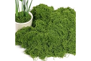 OFFCUP 50G Musgo Artificial, Espuma Artificial Decorativa para Bricolaje Presentación de Mesa Arreglos Florales Jardín de Hadas y Decoración de Bodas (Verde Oscuro)