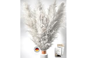 FARRELL BREC Birkental Pampasgras getrocknet XXL ( DAS ORIGINAL ) - 10 Stück - Pampasgras Deko groß 115 - 120 cm, Trockenblumen Deko , extra fluffig , Boho Wohnzimmer Schlafzimmer Vase Trockenblumenstrauß Vintage