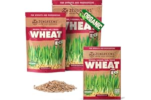 ZenGreens® - Organic Wheat Sprouting Seeds - Choose Between 10g, 200g and 500g - Wheat Seeds with a Germination Rate of Over 97% - Microgreens - Sprouts