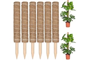 GOYADA Lot de 6 Tuteur Plante Grimpante, Tuteur Coco 40CM, Bâton de Coco Tuteur Plante pour Plantes Grimpantes Extension avec 2 m Attache Velcro/Etiquettes pour Plante/2 m Ficelle de Jute