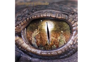 Rodrigo y Gabriela (Deluxe Edition)