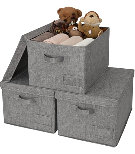 Exquilnova 2 stuks opbergdozen met deksels, grijze kledingkastopbergorganizer, opvouwbare stoffen dozen met versterkt handvat, kledingdoos met ritsen voor slaapkamers, woonkamer, kantoor (M 38 x 25 x Exquilnova 2 stuks opbergdozen met deksels, grijze kledingkastopbergorganizer, opvouwbare stoffen dozen met versterkt handvat, kledingdoos met ritsen voor slaapkamers, woonkamer, kantoor (M 38 x 25 x
