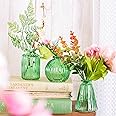 Sass & Belle Green Glass Bud Vases - Set Of 3