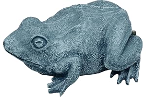 OASE 36774 - Decorazione per laghetto, a forma di rana, con getto d'acqua, ossigeno