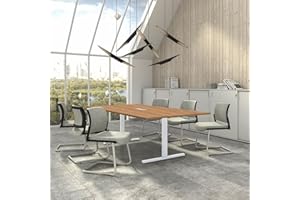 Weber Büro Easy - Tavolo da conferenza, 240 x 120 cm, in legno di rovere ambra con impianto elettrico, colore: Bianco