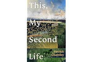 This, My Second Life: An emotional and powerful debut novel