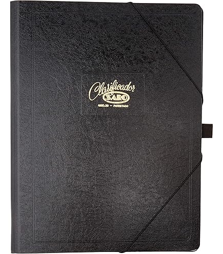 Carpeta Clasificadora Con Gomas